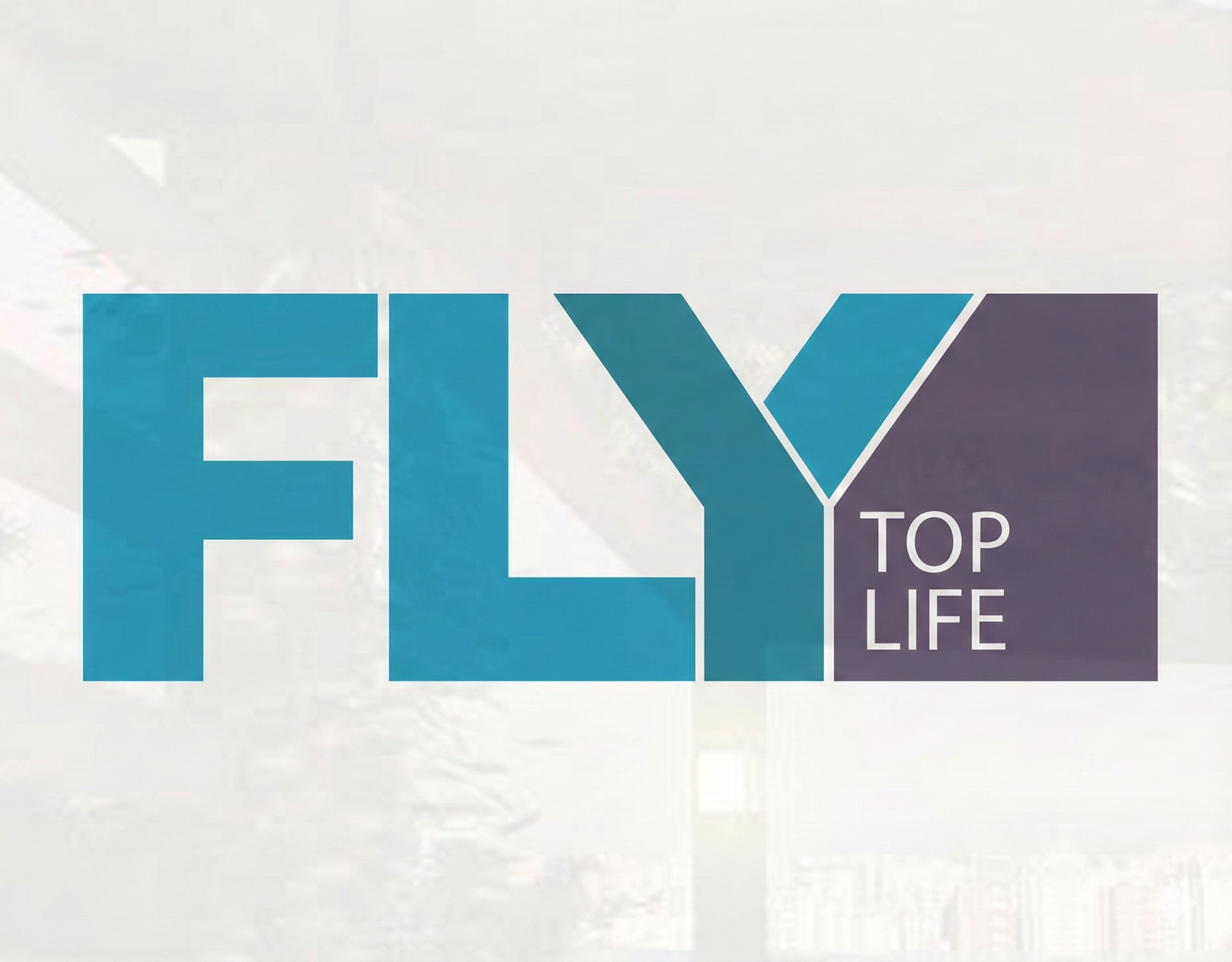Cliente Fly